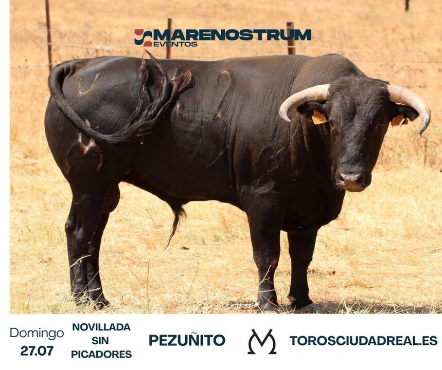 toros 2