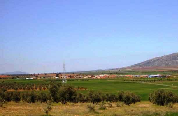 Paraje de Las Peralosas. Fuente: foro-ciudad.com