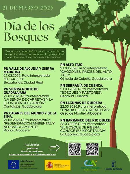 Día-de-los-Bosques