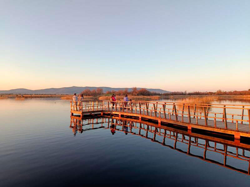 tablas-de-daimiel-2
