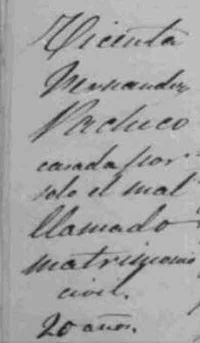 Fuente: Archivo Parroquial de Nuestra Señora de la Asunción de Manzanares. Libro de Defunciones (1878-1887), folio 210-v.