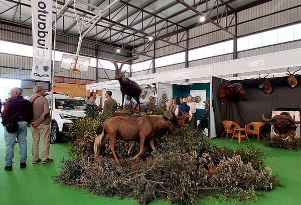 brazatortas-feria-3
