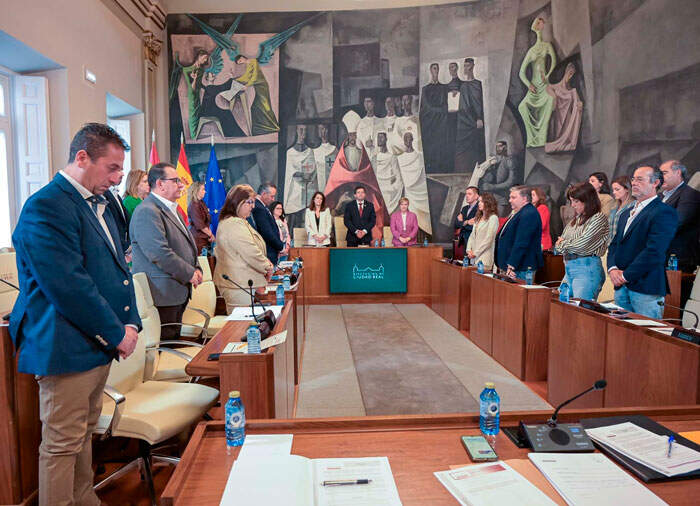 pleno-dipu-3