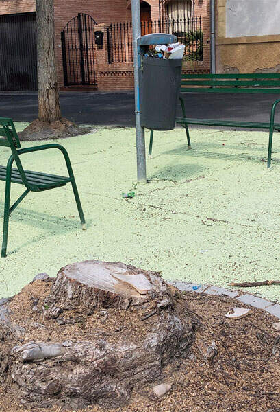 plaza-valverde