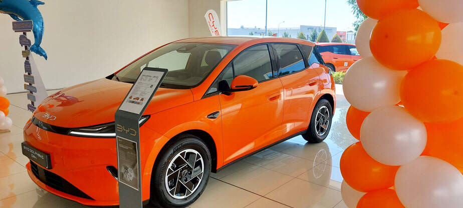 byd-6