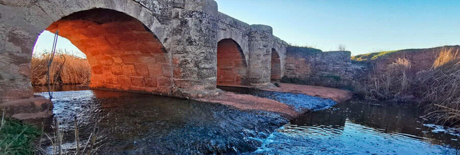 puente-infantes-1